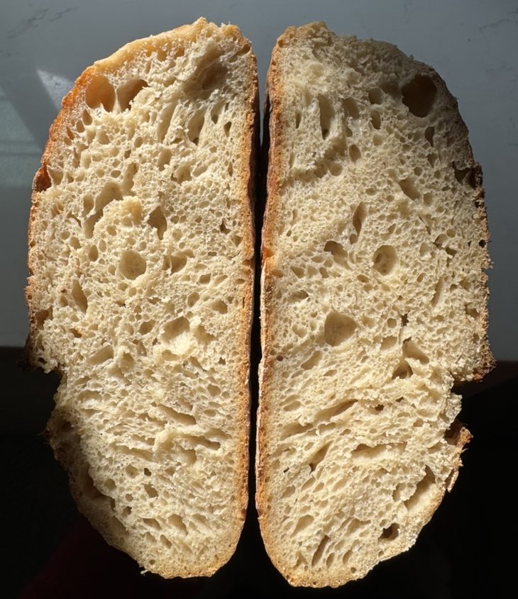 312E9CA0-D6A1-4D78-A1ED-A74D5EF947D9_1_105_c